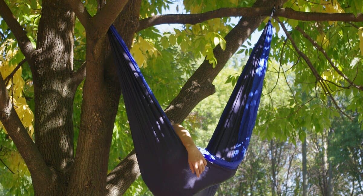 hammock, relax, tree